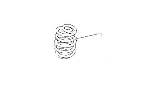 F1T1 - Rear spring module