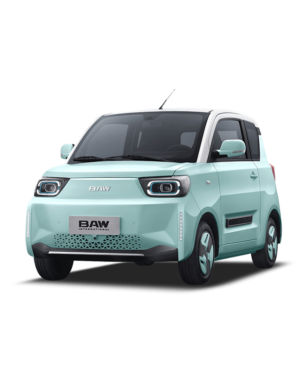 BAW Pony - 170