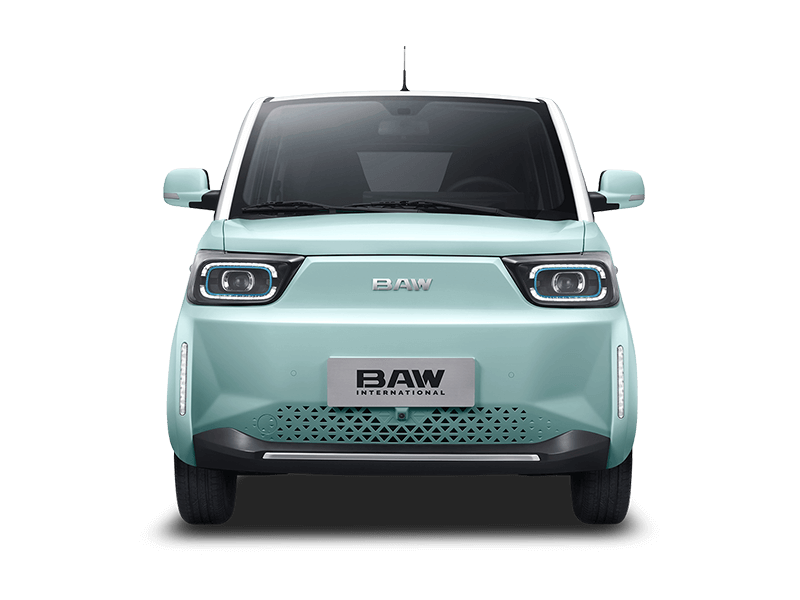 BAW Pony - 170