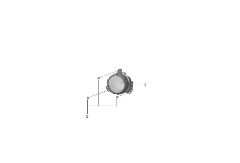 F1T1 - Fog lamp module
