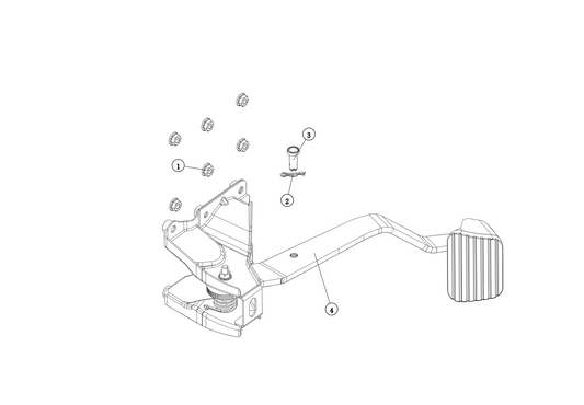 Assembly Drawing