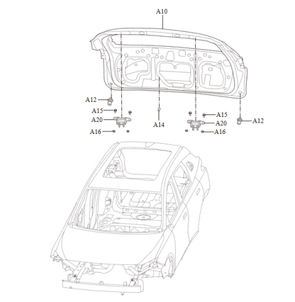 Assembly Drawing